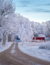 Frosty road Poster och Canvastavla