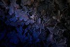- Wintertime - Poster och Canvastavla