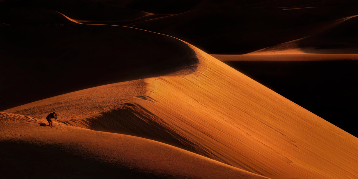 Mesquite Sand Dunes Poster och Canvastavla