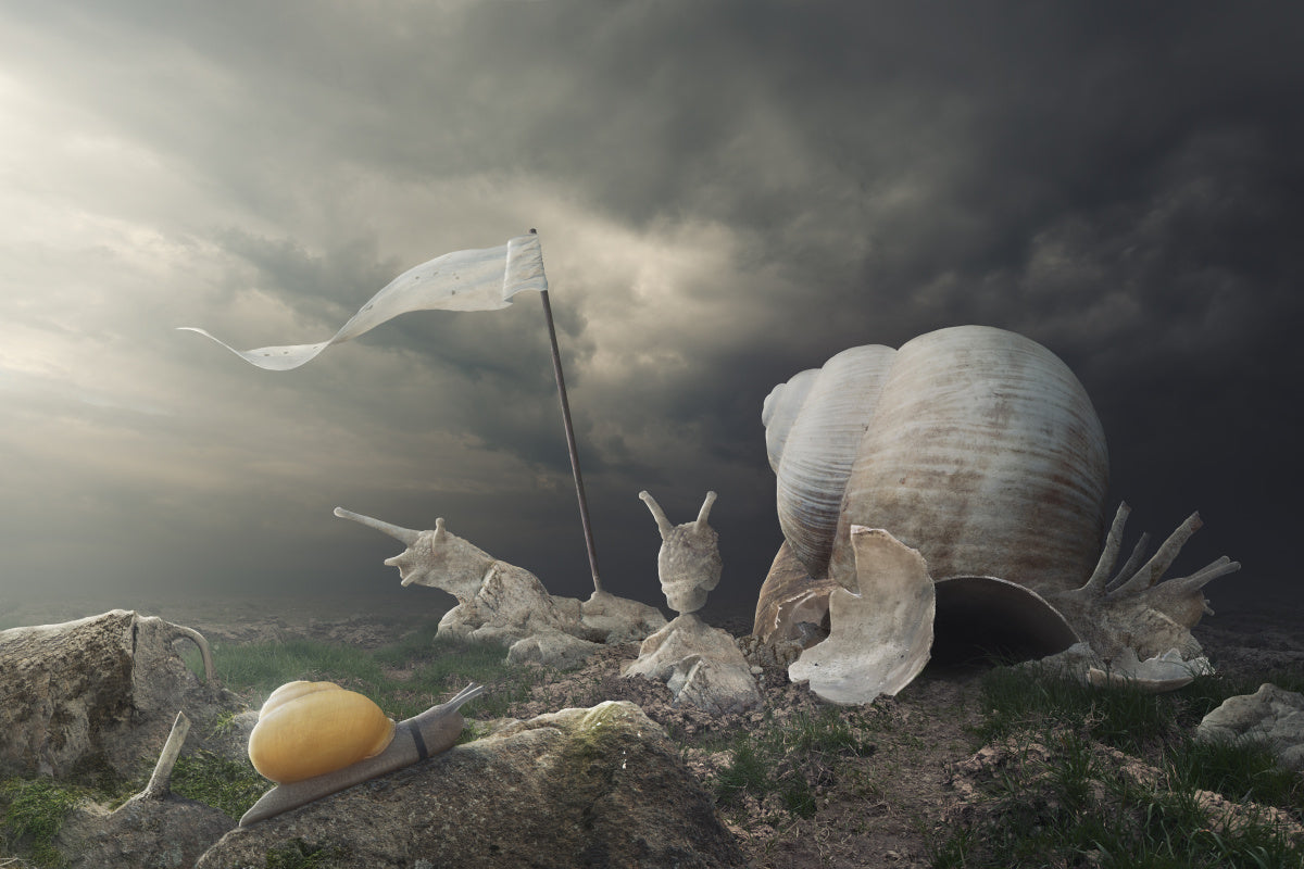Temple of Snail Poster och Canvastavla