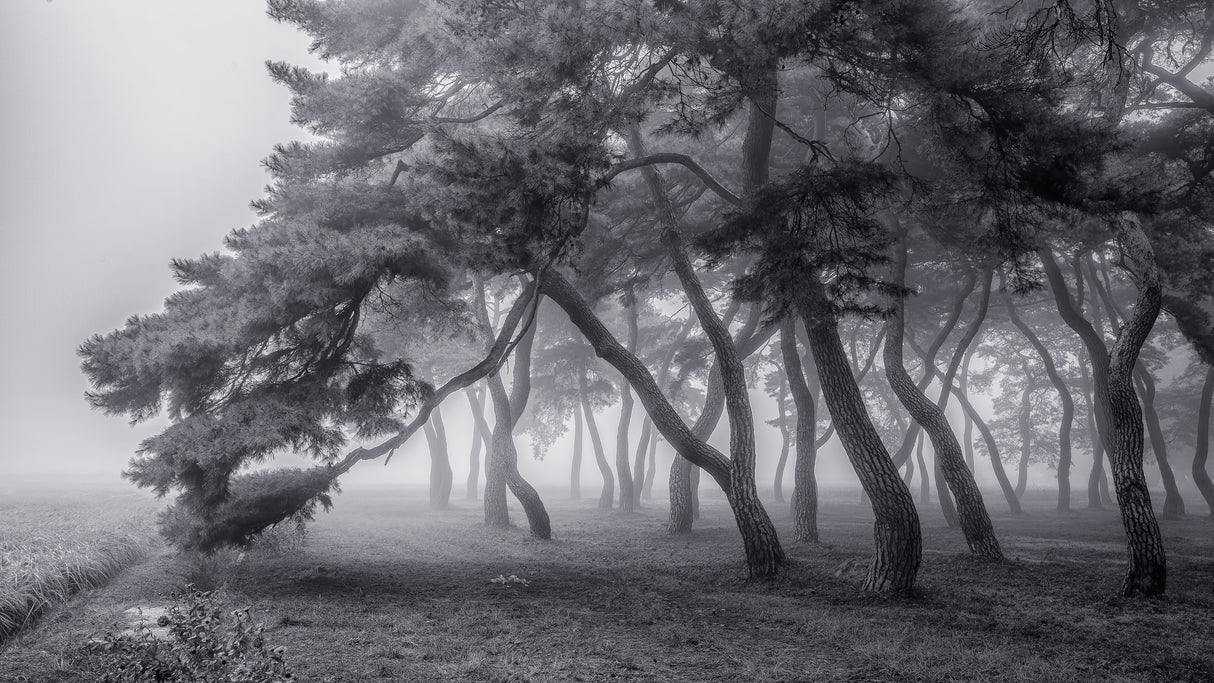 Always Poster och Canvastavla