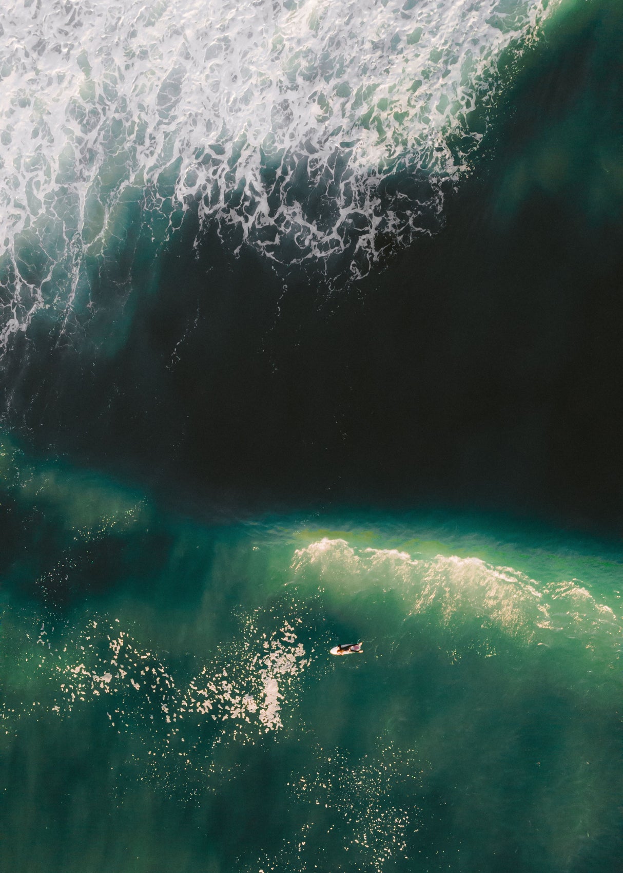 Surfer Girl Poster och Canvastavla