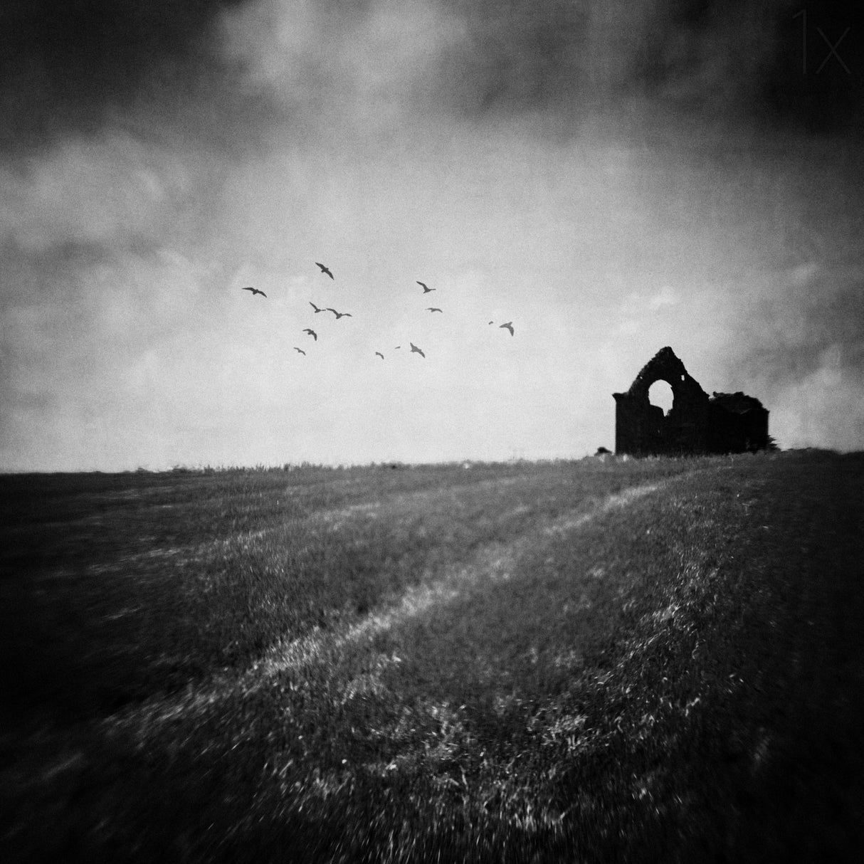 Remains Poster och Canvastavla