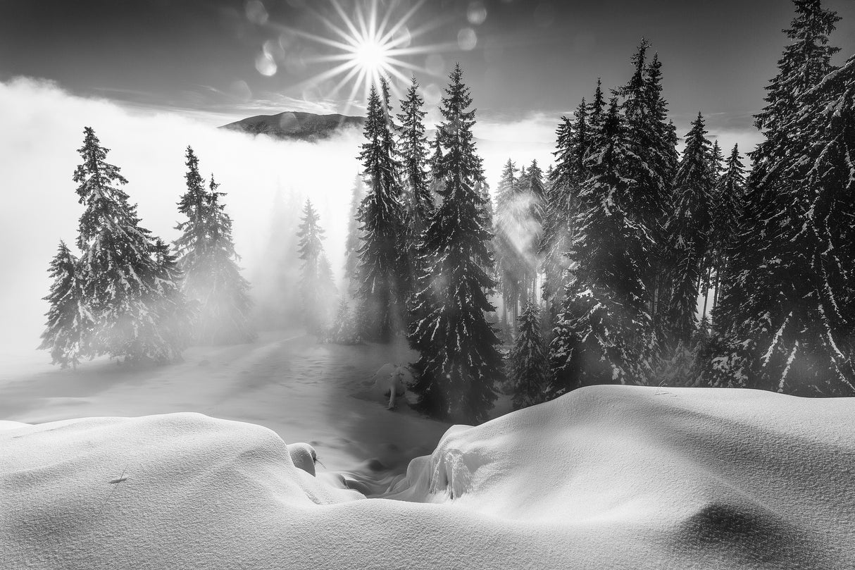 A Winter Tale ! Poster och Canvastavla