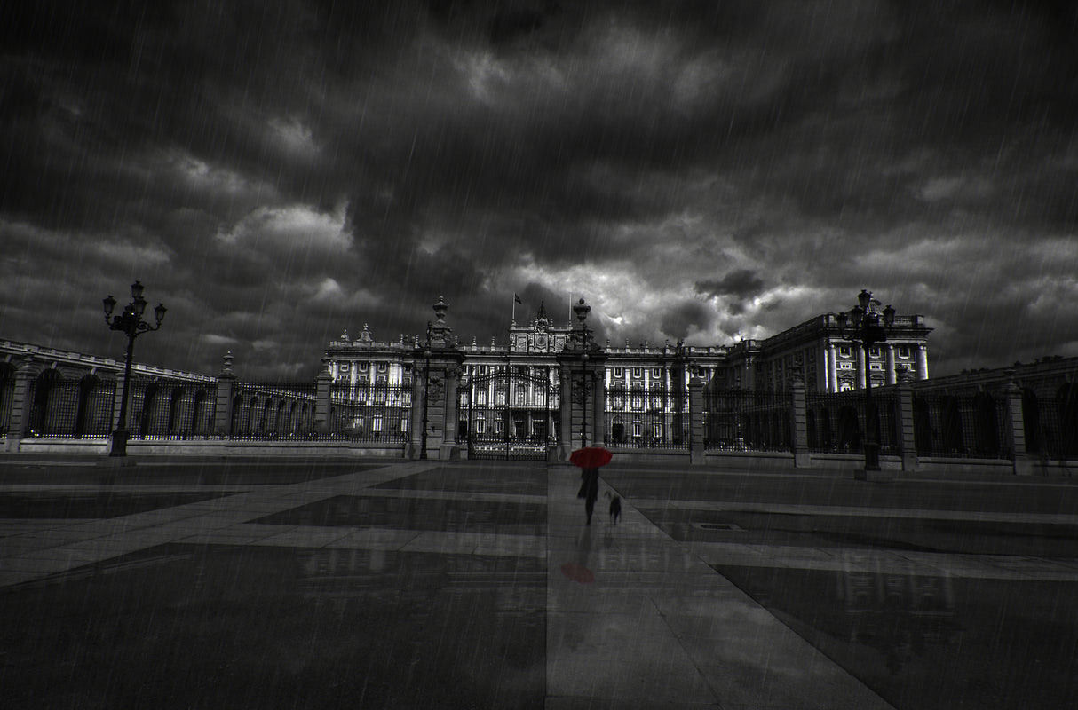 The woman with the red umbrella Poster och Canvastavla