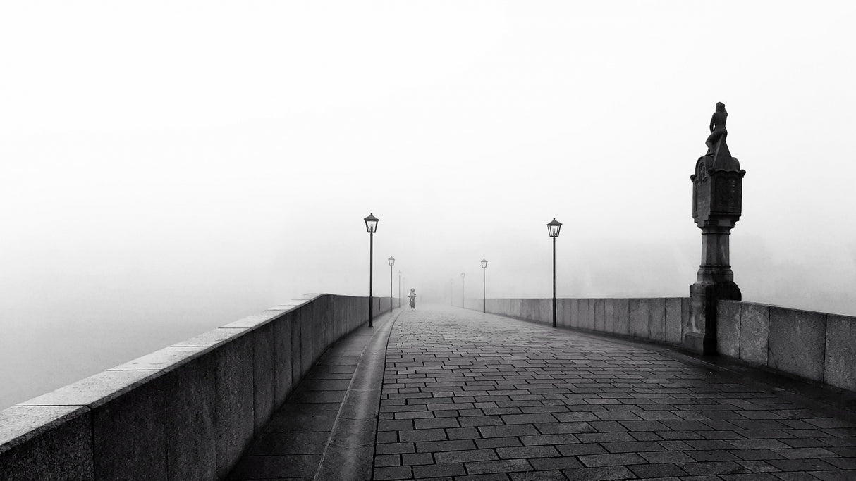 fog in the city Poster och Canvastavla
