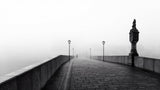 fog in the city Poster och Canvastavla