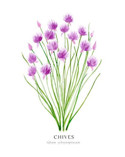 Chives I Poster Kitchen poster eller kökstavla