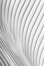Calatrava Lines Poster och Canvastavla