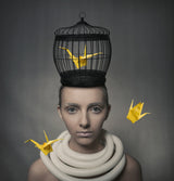 A Poem of Yellow Cranes Poster och Canvastavla