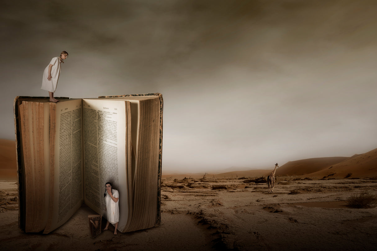 The book III Poster och Canvastavla