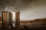 The book III Poster och Canvastavla