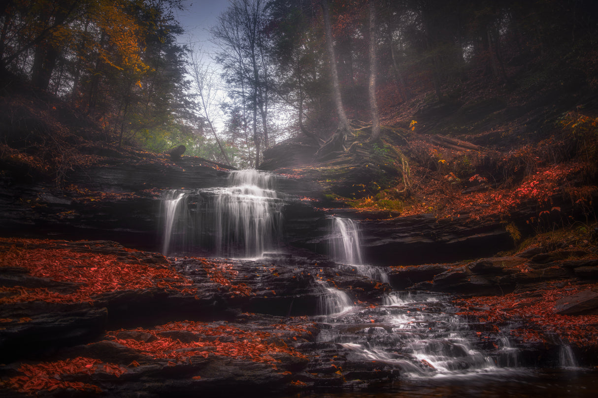 Falls in Fall Poster och Canvastavla