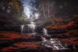 Falls in Fall Poster och Canvastavla
