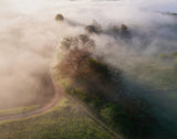 Morning mist Poster och Canvastavla