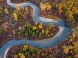 Autumn creek Poster och Canvastavla