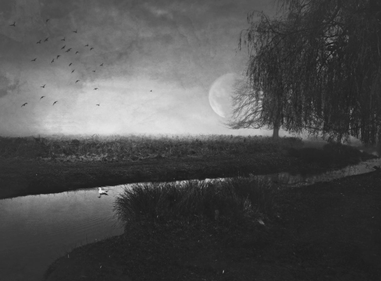 Some Nights... Poster och Canvastavla