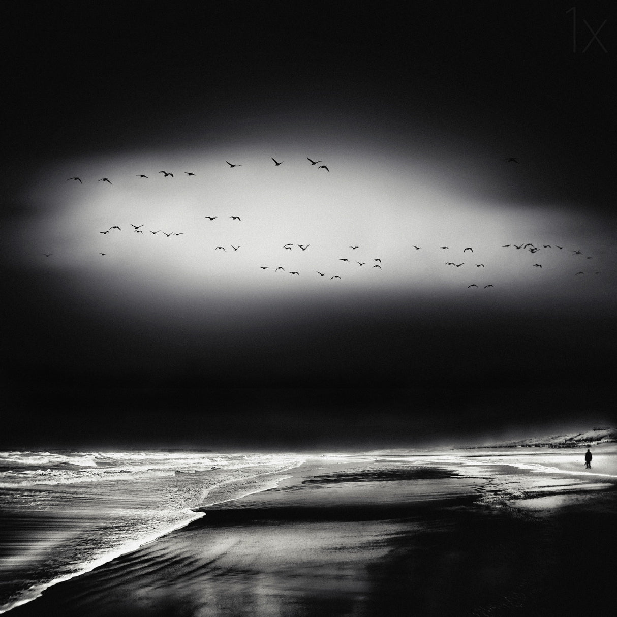 the song of the wet sands Poster och Canvastavla