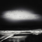 the song of the wet sands Poster och Canvastavla