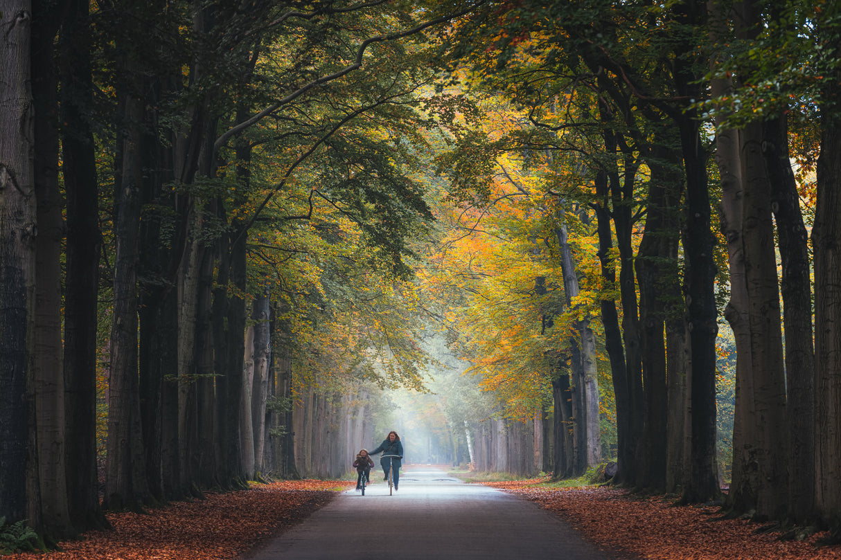 Cycling Lessons Poster och Canvastavla