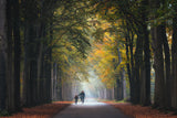 Cycling Lessons Poster och Canvastavla