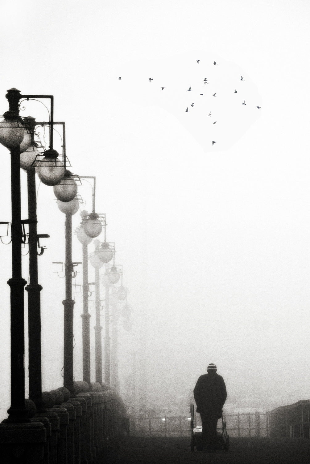 days of mist Poster och Canvastavla