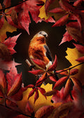 Bird Autumn Poster och Canvastavla
