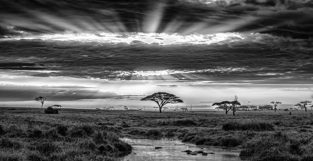 Monochrome sunrise Poster och Canvastavla