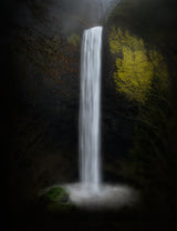 Latourell Falls Poster och Canvastavla