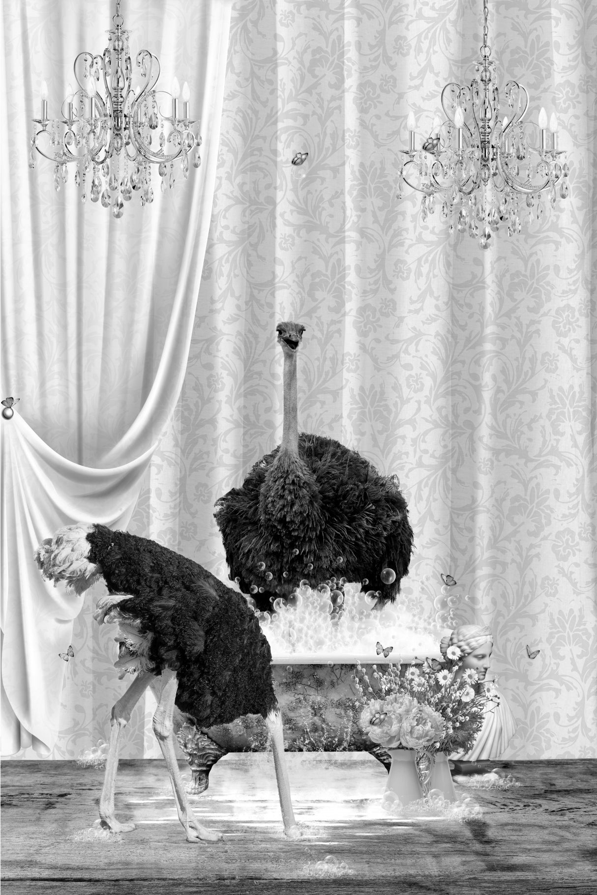 Ostriches &amp; Bubble Black &amp; White Poster och Canvastavla