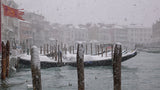 Nevica 2 Poster och Canvastavla