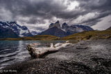 torres del pine Poster och Canvastavla