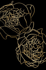 Sally's peonies in gold and black Poster och Canvastavla