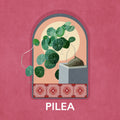 Green Sets Pilea Poster och Canvastavla