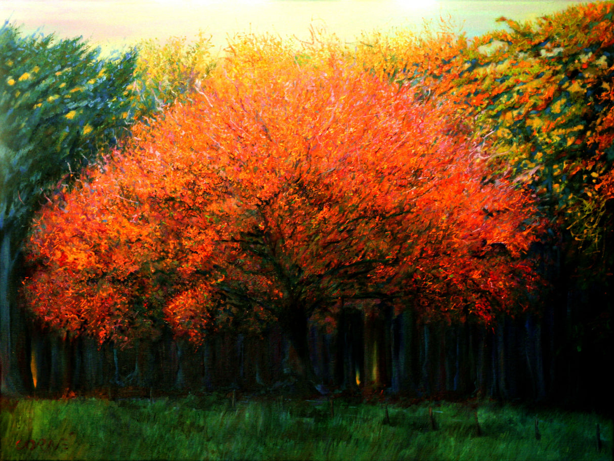Autumn Tree at Laren (2013) Poster och Canvastavla