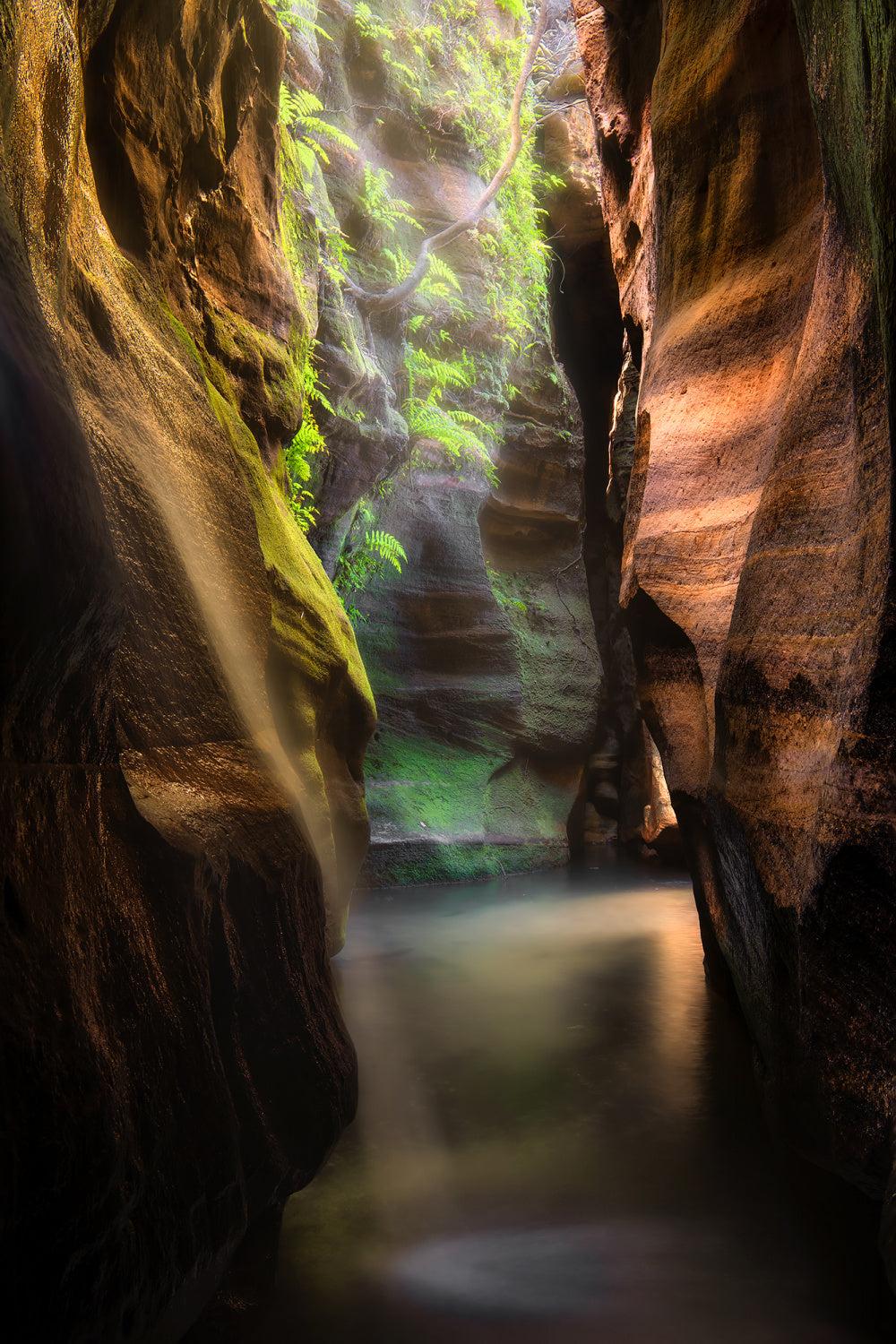 Yileen Canyon Poster och Canvastavla