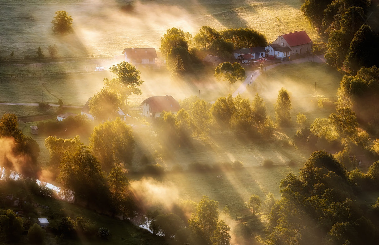 in the morning sun Poster och Canvastavla