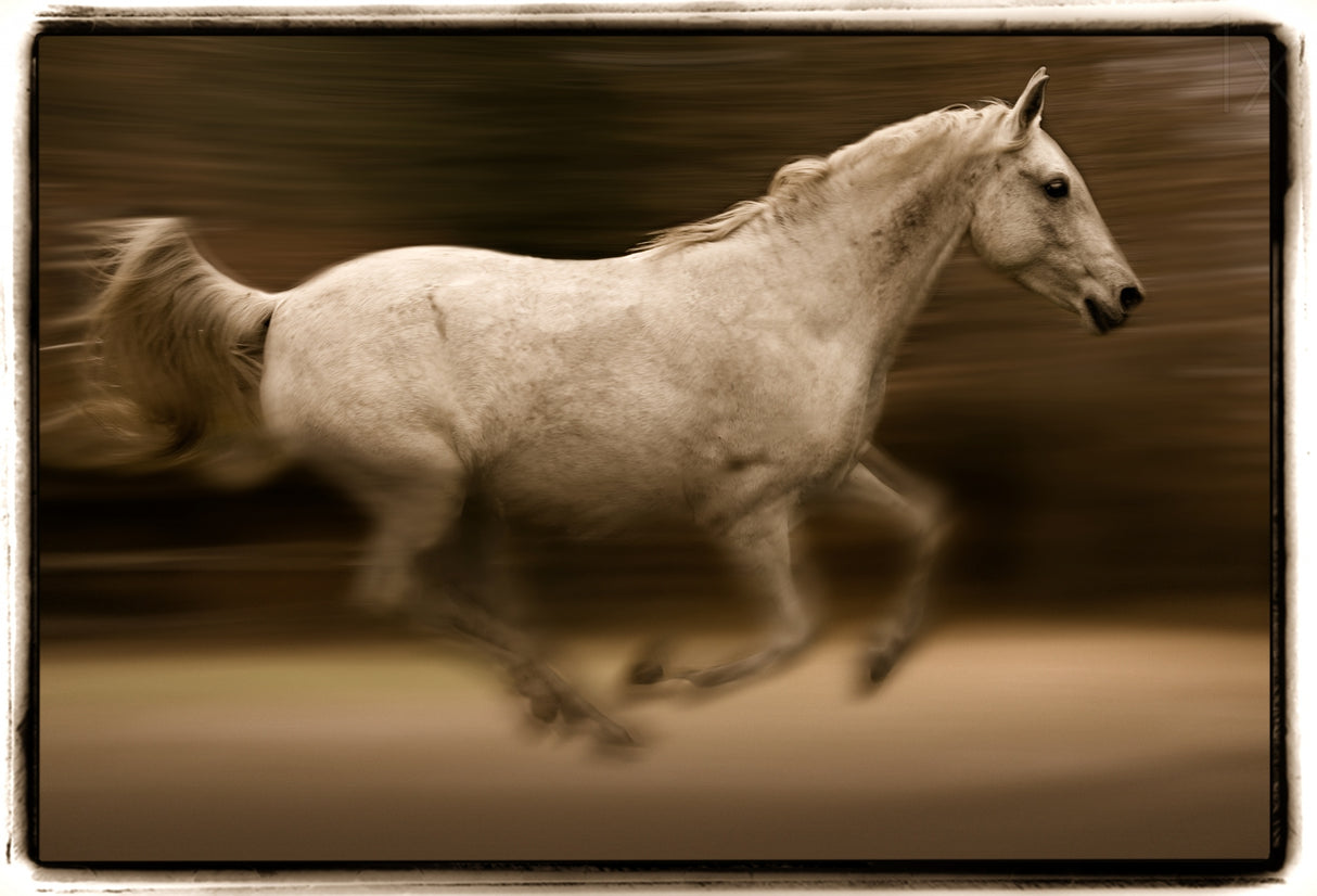 EQUS Poster och Canvastavla