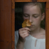 Autumn is coming Poster och Canvastavla