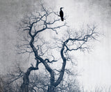 lonely on the top Poster och Canvastavla