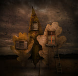 Autumn house Poster och Canvastavla
