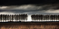 The space between. Poster och Canvastavla