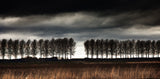 The space between. Poster och Canvastavla