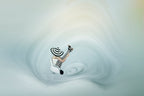 Whirlpool I Poster och Canvastavla