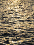 sea waves at sunset Poster och Canvastavla