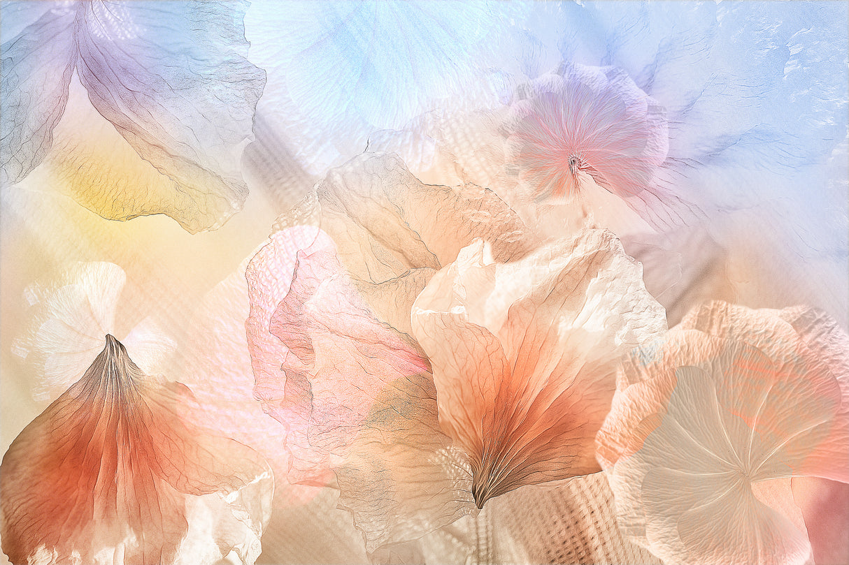 Ethereal flowers Poster och Canvastavla