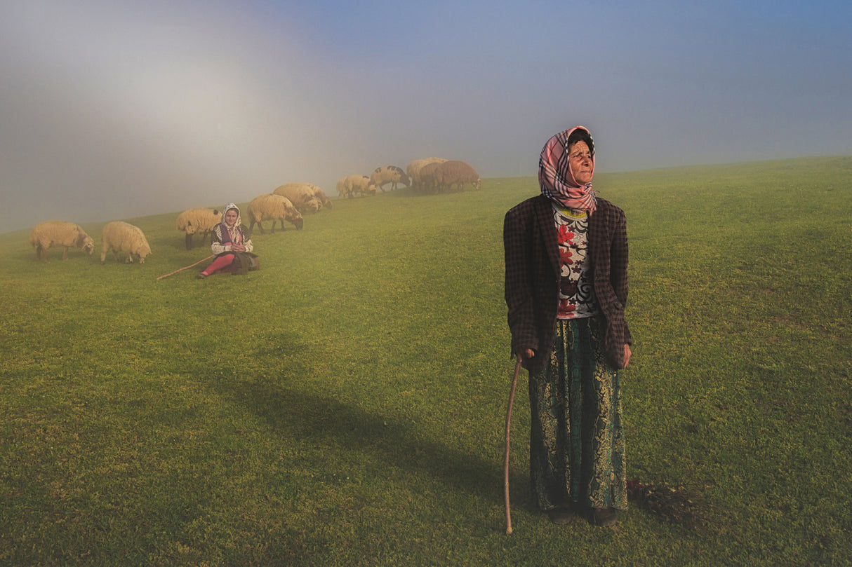 Shepherd in fog Poster och Canvastavla