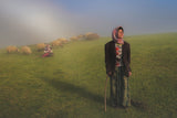Shepherd in fog Poster och Canvastavla