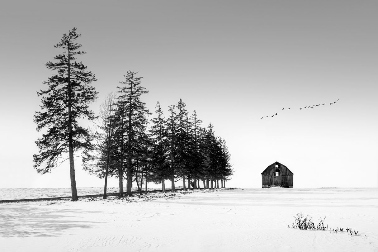 A Sunny Winter Day Poster och Canvastavla