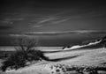 Solitary snowy winter beach Poster och Canvastavla